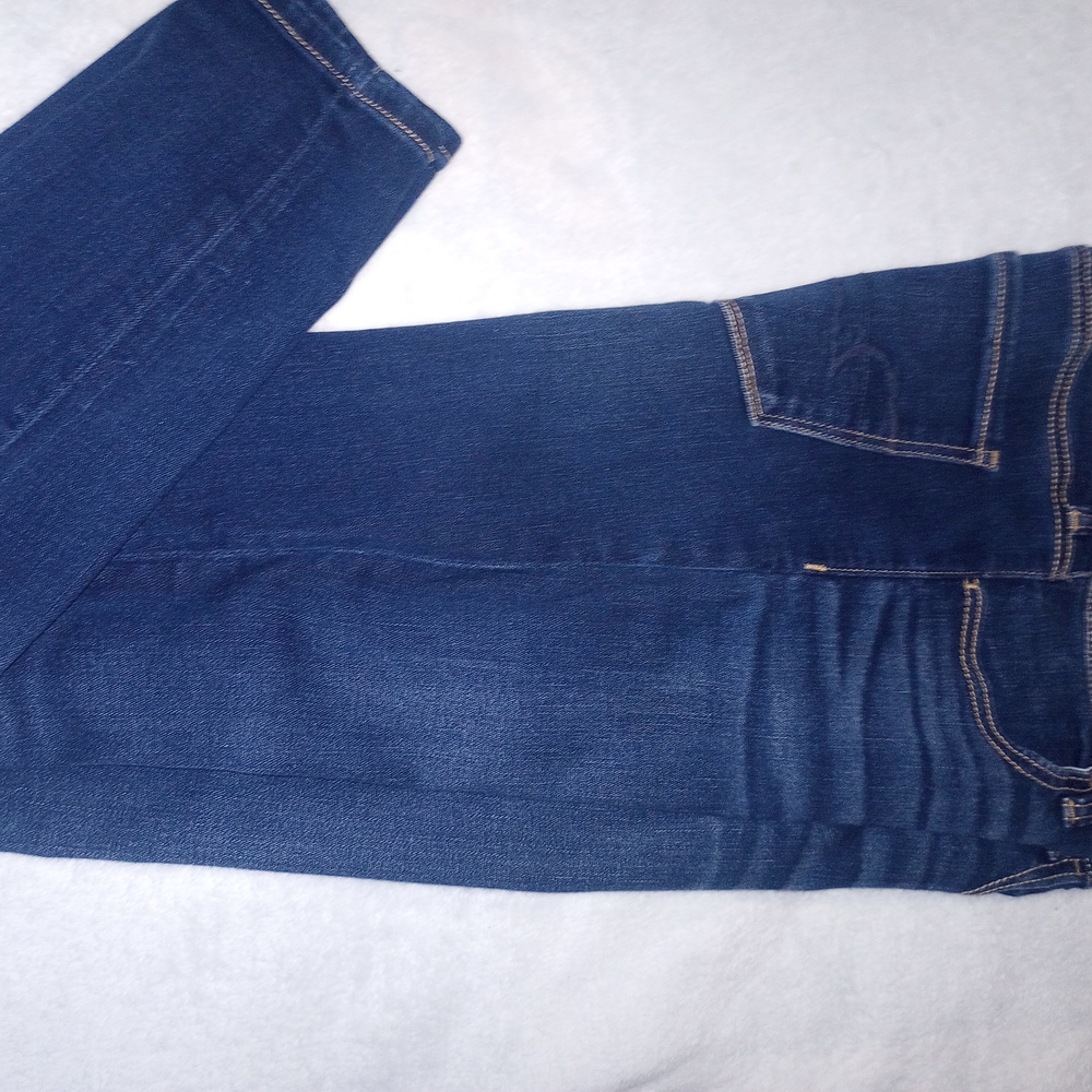 American Eagle Outfitters Dark Blue Skinny Jeans